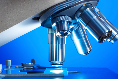 Phentolamine Impurity A 100mg