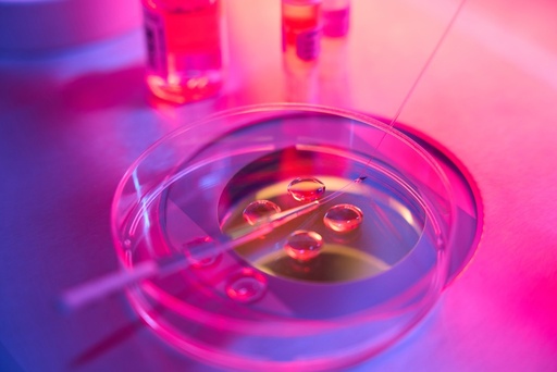 [RW2-TRC-L468740-1G] rac-Lipoic Acid Monosulfoxide (Mixture of Regioisomers and Diastereomers) 1g