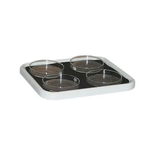[GEN-ON-MS] Gel casting set standard